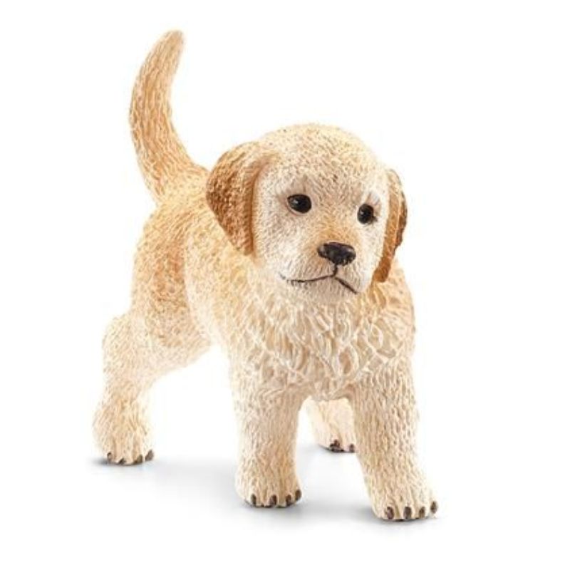 Golden Retriever chiot