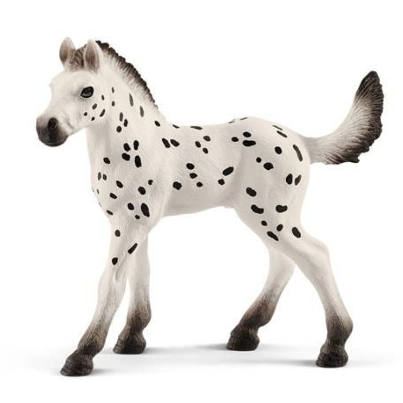 Poulain Knabstrupper