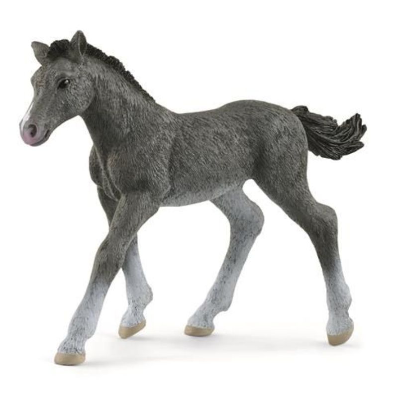 New Poulain Trakehnen