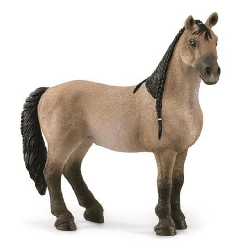 New Jument Criollo Definitivo