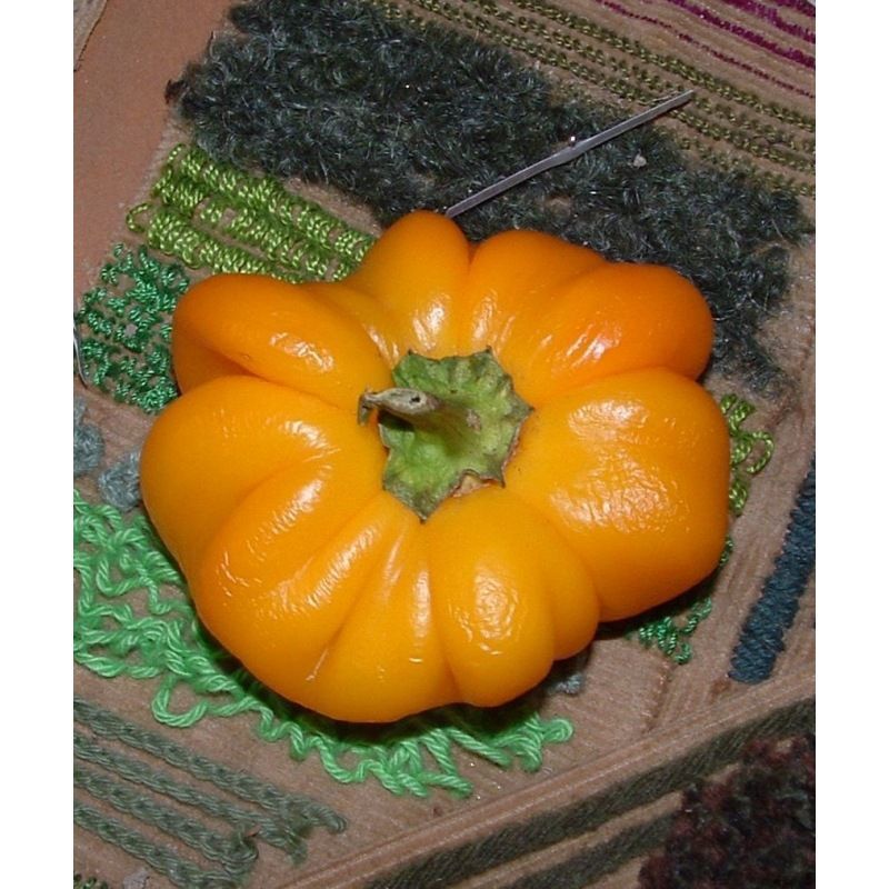 Semailles Poivron Mandarine