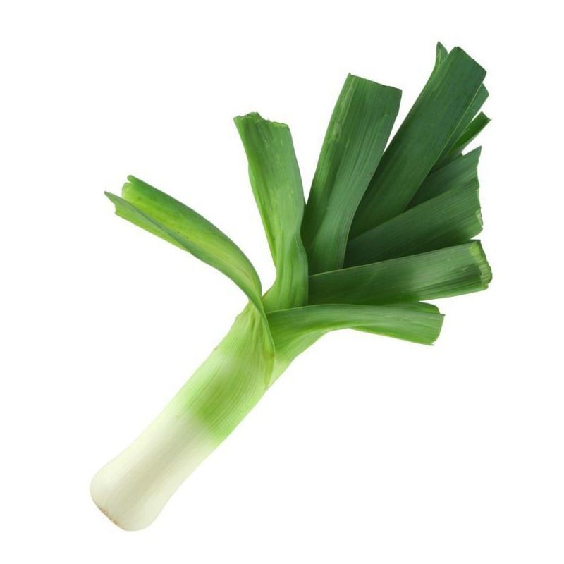 Semailles Poireau Gros Long d'été