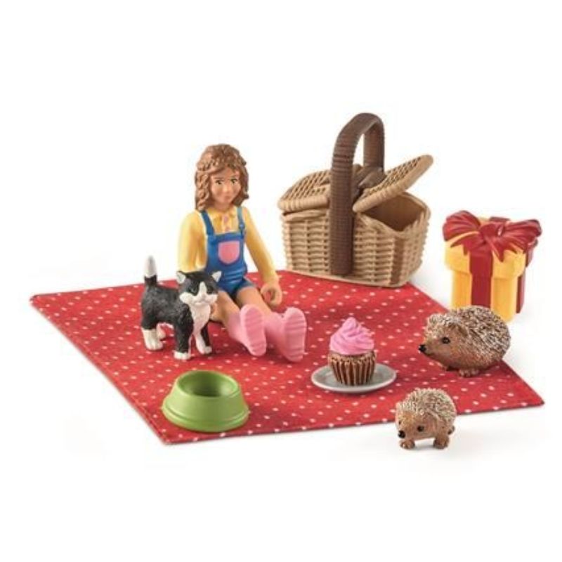 New Pique-nique d'anniversaire