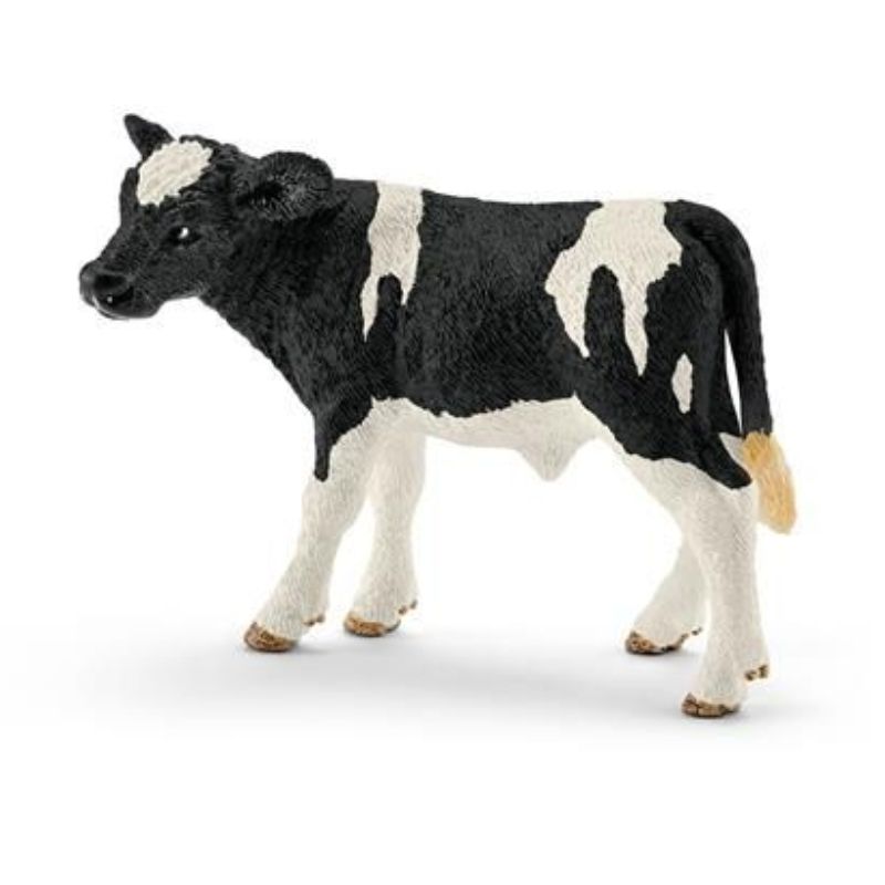 Veau Holstein