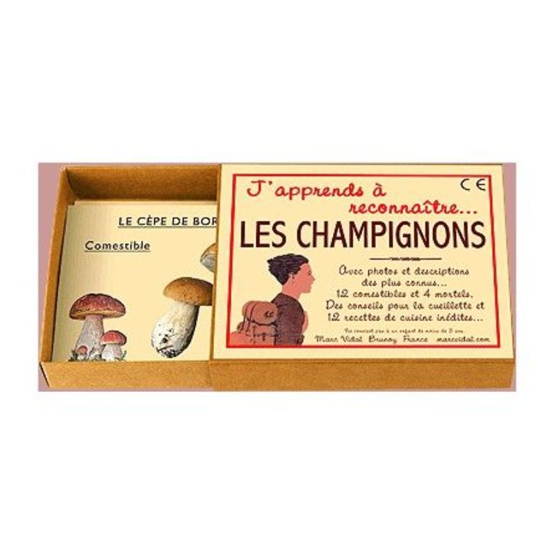 Marc Vidal J'apprends à reconnaître les champignons