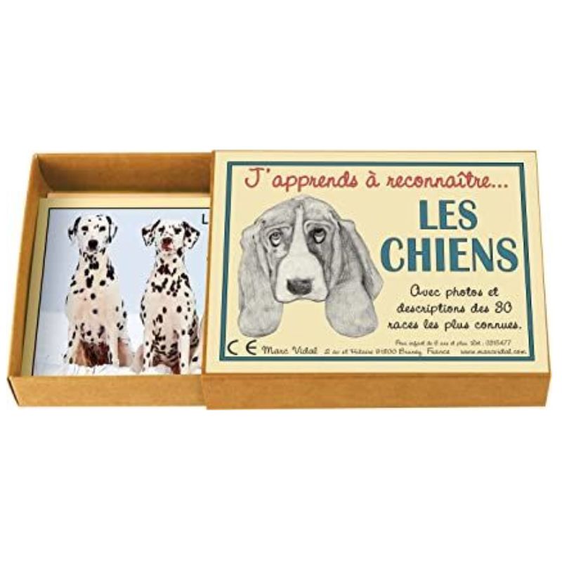 Marc Vidal J'apprends à reconnaître les chiens