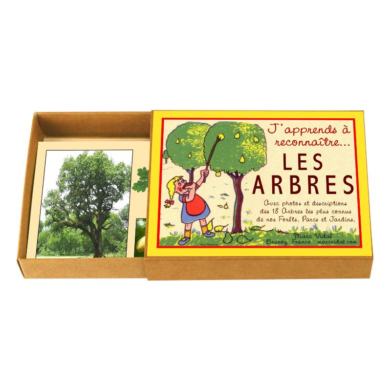 Marc Vidal J'apprends à reconnaître les arbres