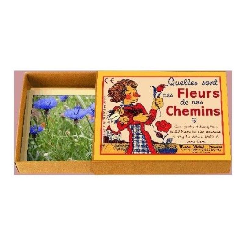 Marc Vidal J'apprends à reconnaître les fleurs de nos chemins
