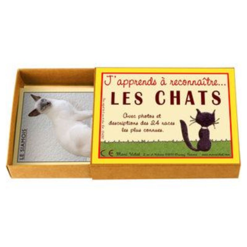 Marc Vidal J'apprends à reconnaître les chats