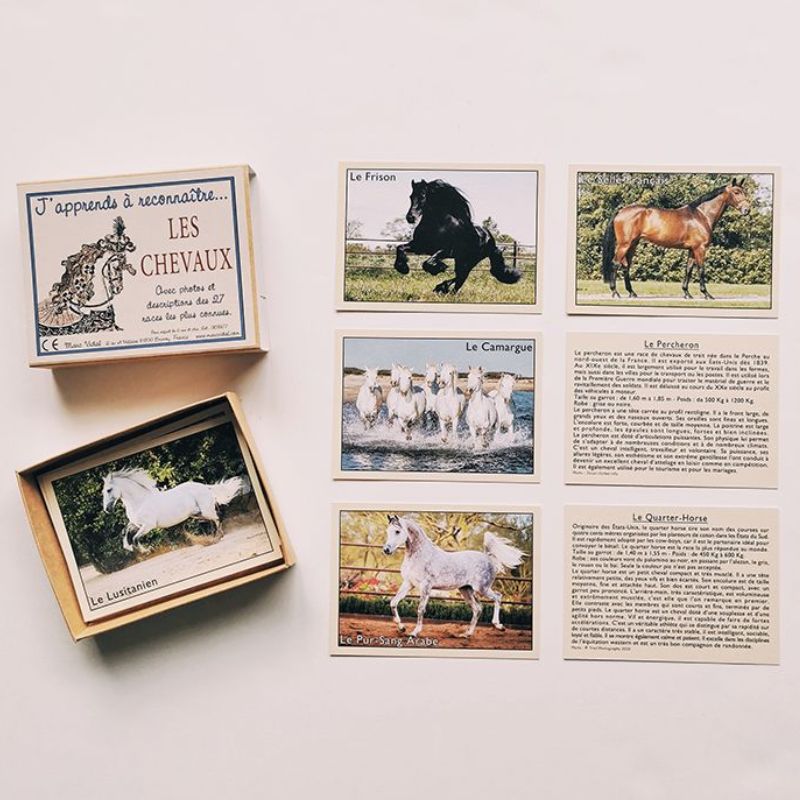 Marc Vidal J'apprends à reconnaître les chevaux